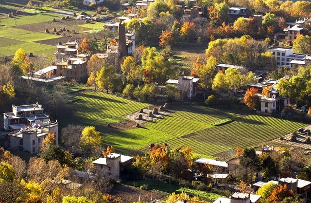 成都到中路藏寨租車價格