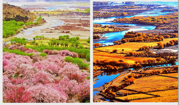 成都租車自駕林芝費用