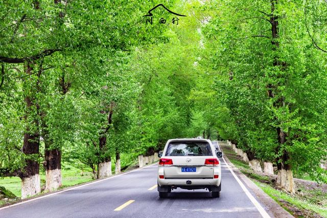 成都旅游包車(chē)