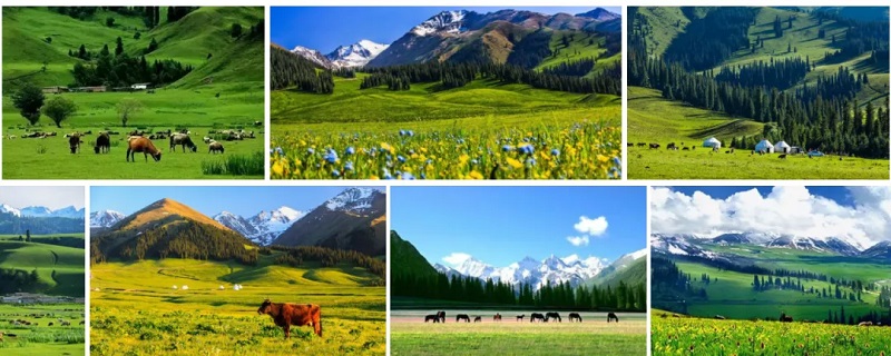 獨(dú)庫(kù)公路開(kāi)通了，租車自駕旅行看美麗風(fēng)景