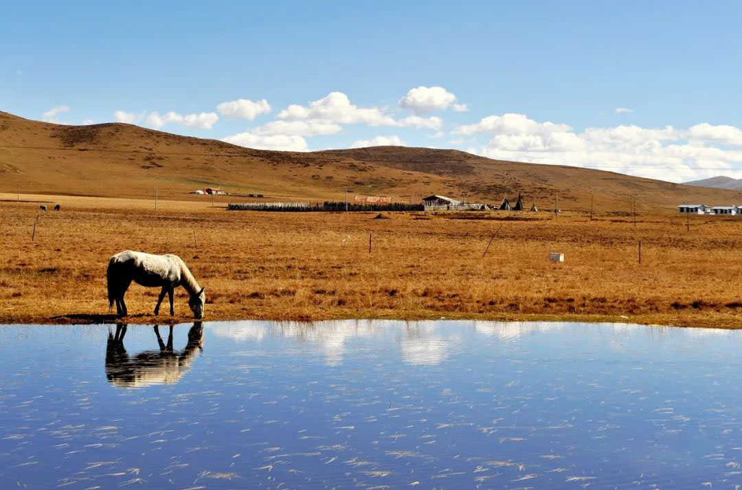 川藏線自駕游一起租車的人均消費是多少？