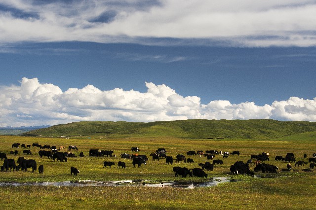 川藏線風景 (2).jpg