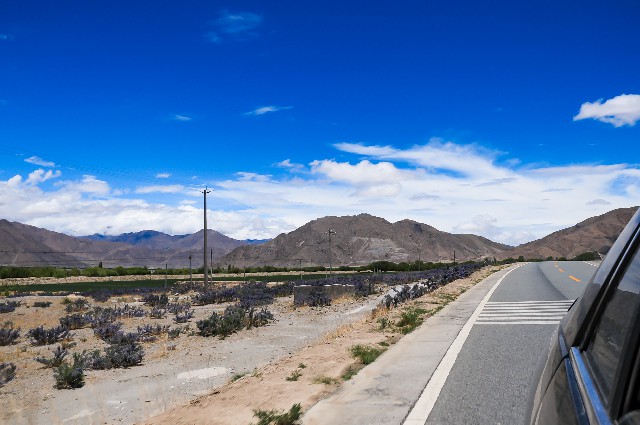 周末旅游成都租商務車