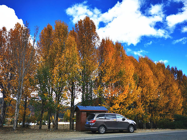 成都租商務(wù)車進藏可以嗎