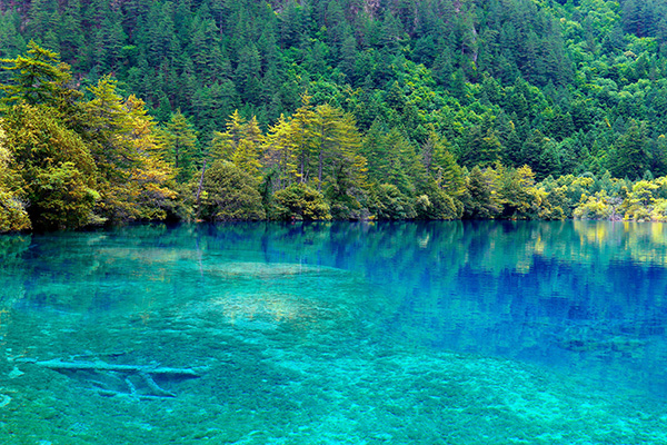 租車四天，去九寨黃龍怎么玩？